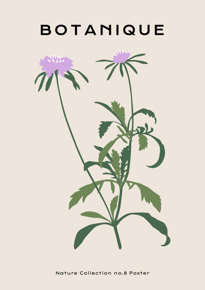 SENT Studio - Botanical Poster No. 53