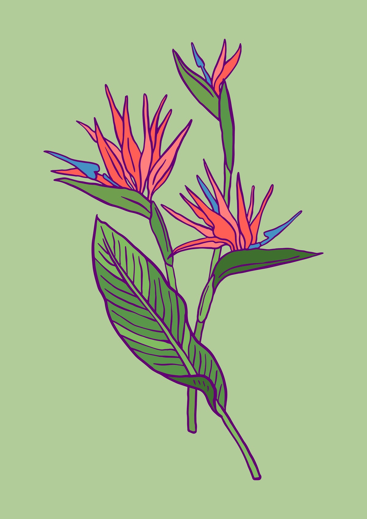 SENT Studio - Flower Poster No. 21
