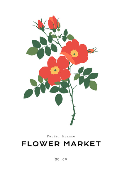 SENT Studio - Botanical Poster No. 62
