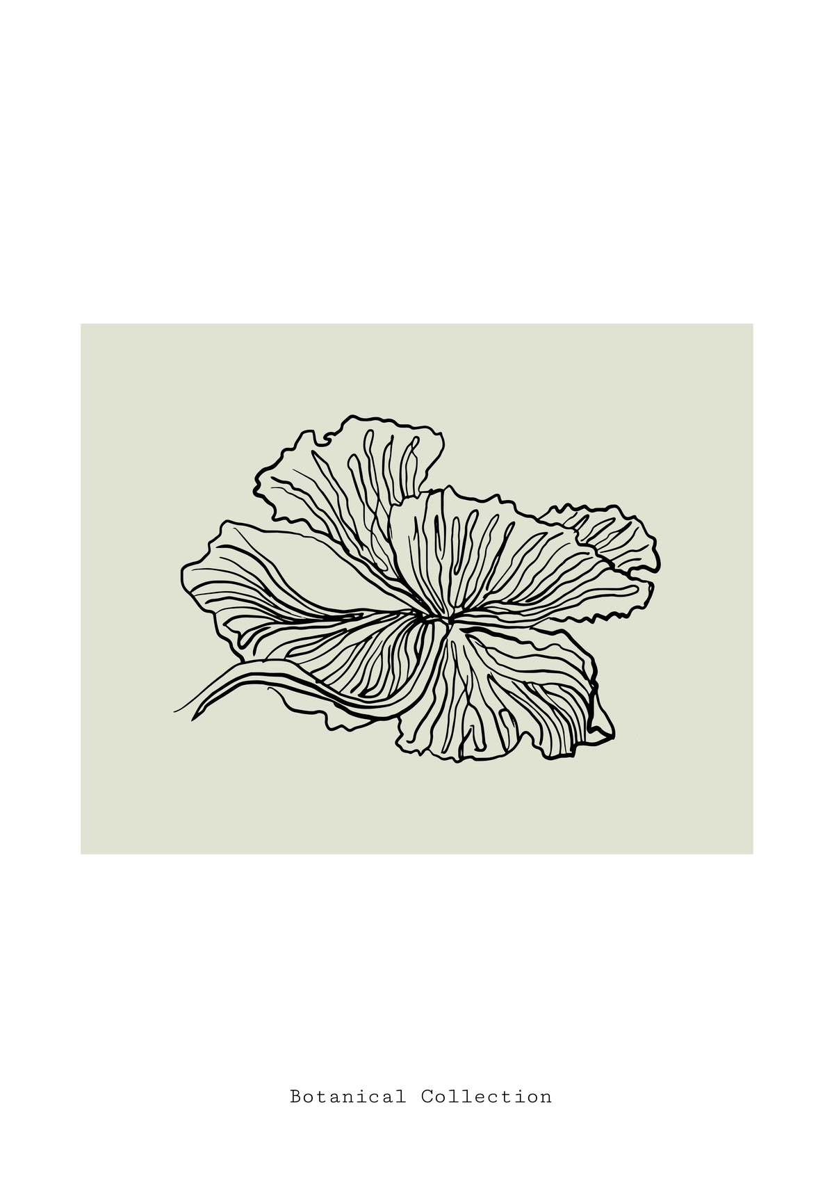 SENT Studio - Blooming Flowers Poster No. 23