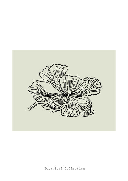 SENT Studio - Blooming Flowers Poster No. 23