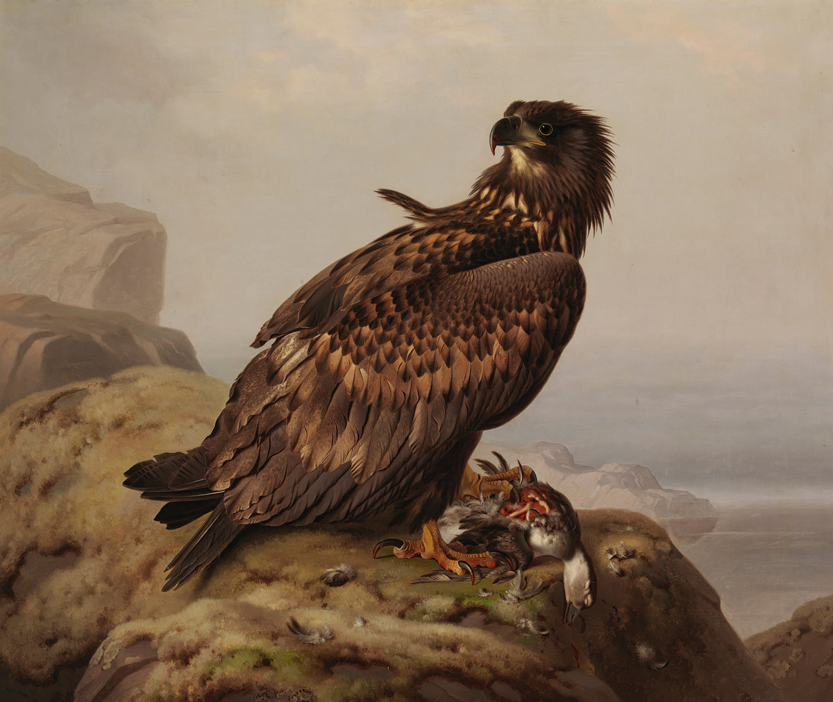 Ferdinand von Wright — Fine Art Print No. 1