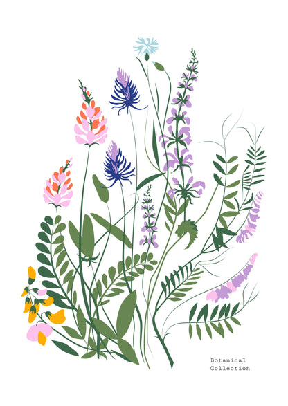SENT Studio - Botanical Poster No. 19