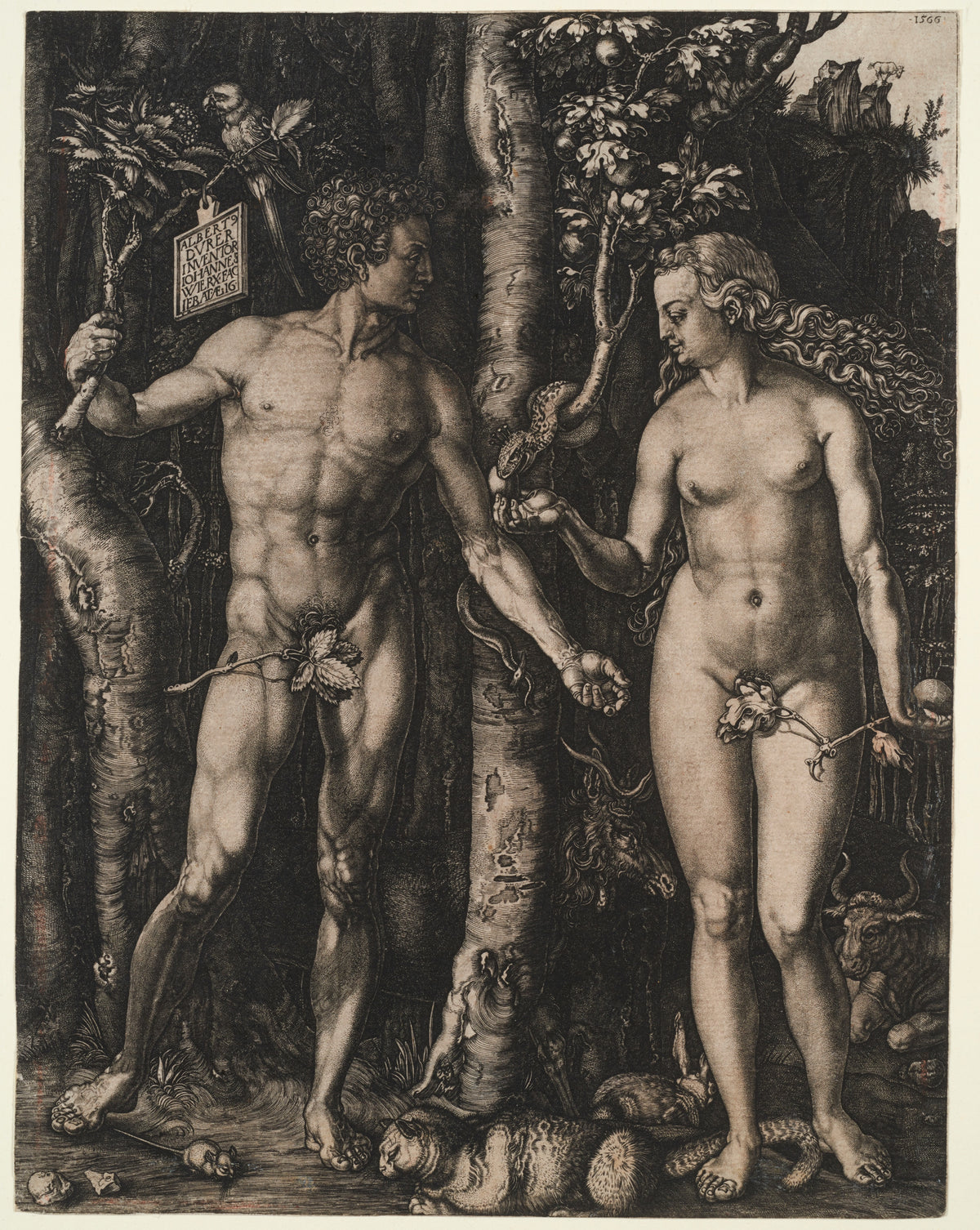 Albrecht Dürer - Adam and Eve