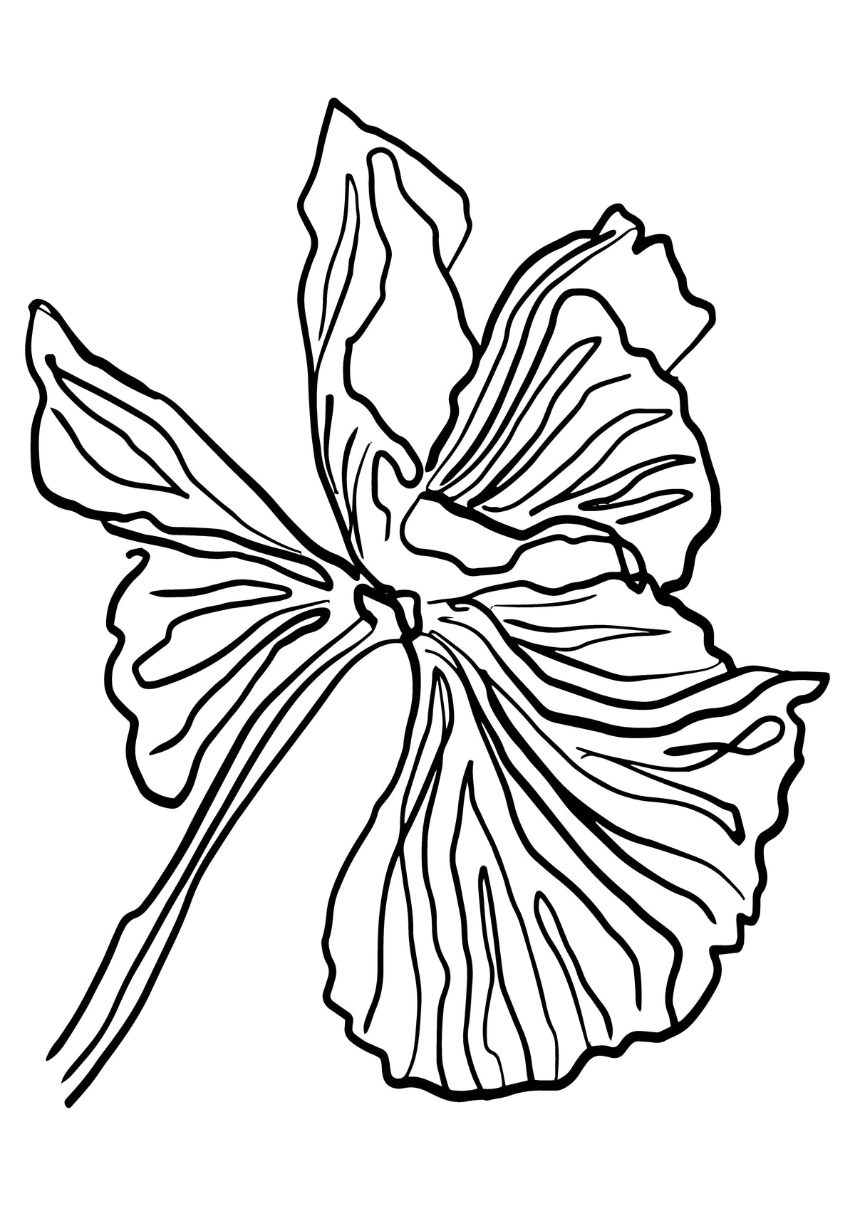 SENT Studio - Blooming Flowers Poster No. 26