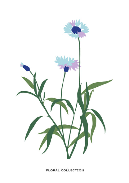 SENT Studio - Botanical Poster No. 31