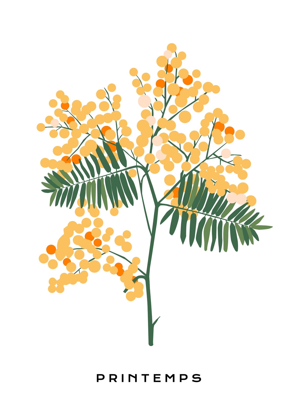 SENT Studio - Botanical Poster No. 49