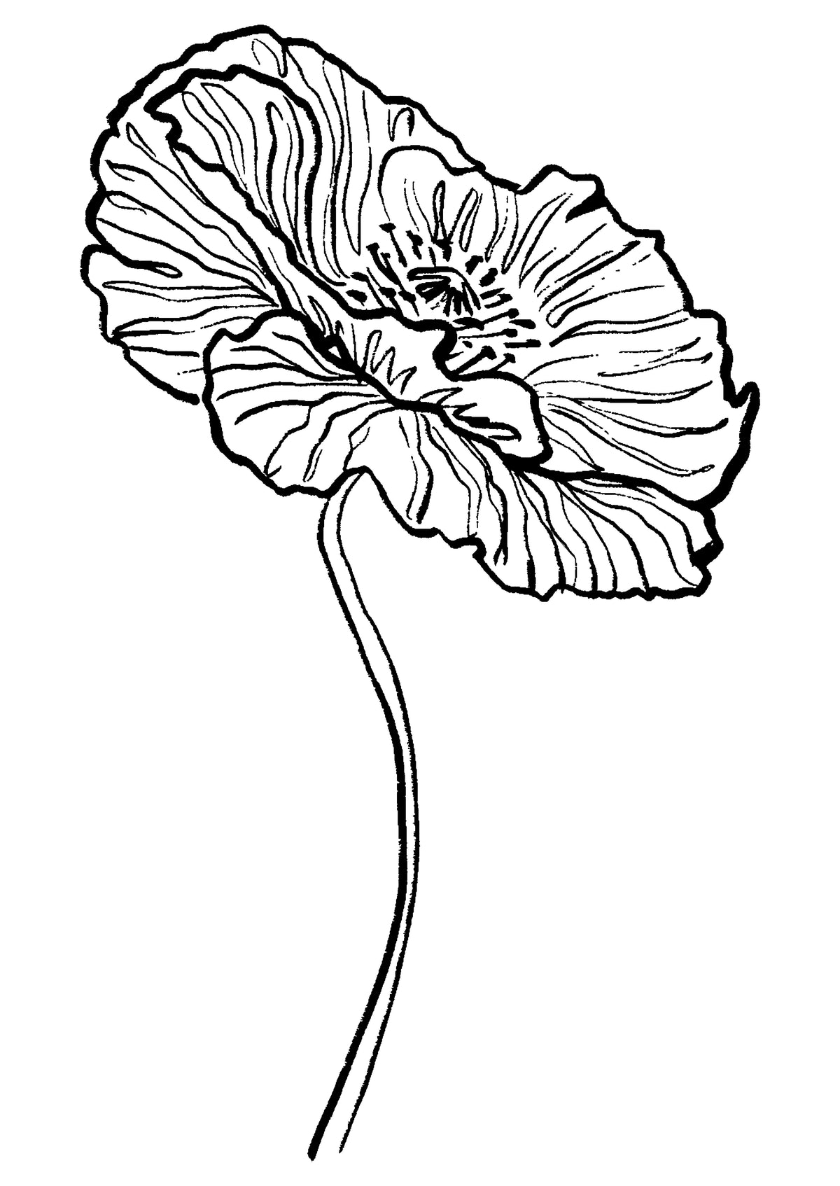 SENT Studio - Blooming Flowers Poster No. 7