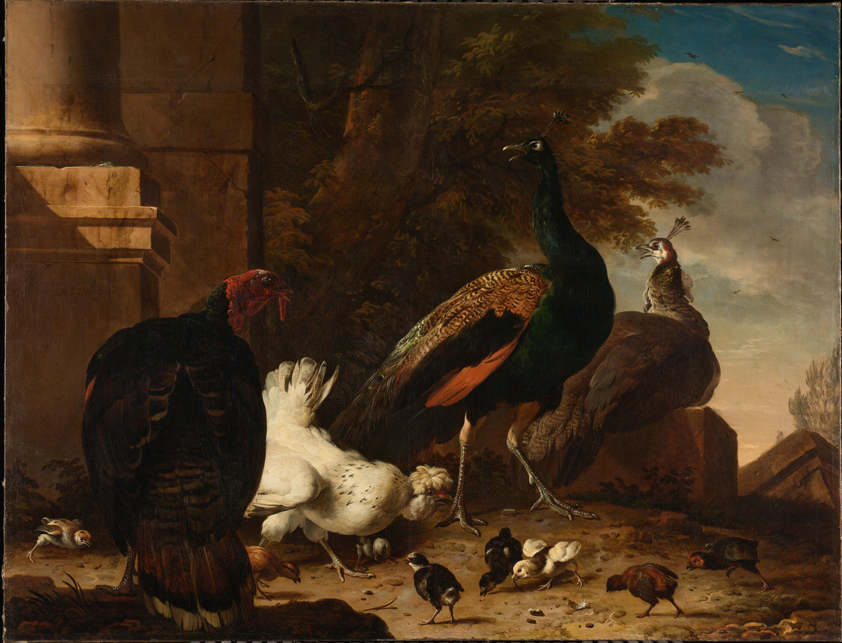 Melchior d'Hondecoeter — Fine Art Print No. 1